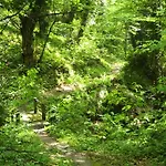 Red Villa's 別荘 ツァガラダ