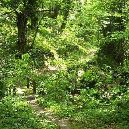 Red Villa's 別荘 ツァガラダ