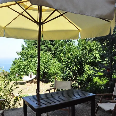 Red Villa's Holiday home